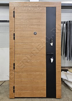 Металлическая входная дверь РД-1012363