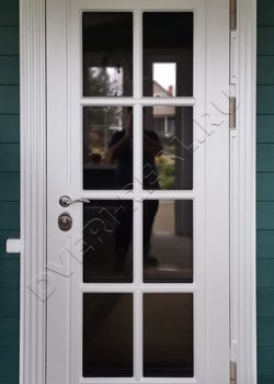 Уличная остекленная дверь